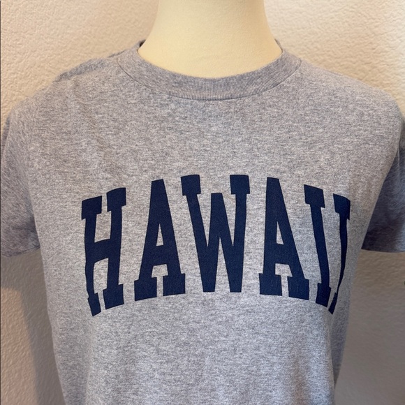 Brandy Melville Gray 'Hawaii' Tee - Picture 2 of 4